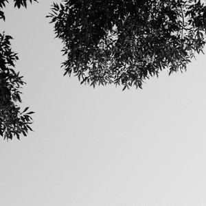 elitepain鞭打全部
